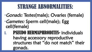 STRANGE ABNORMALITIES:
•Gonads: Testes(male); Ovaries (female)
•Gametes: Sperm cell(male); Egg
cell(female)
I. PSEUDO HERMAPHRODITES- individuals
having accessory reproductive
structures that “do not match” their
gonads.
 