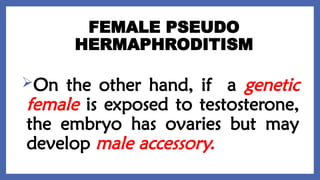 FEMALE PSEUDO
HERMAPHRODITISM
On the other hand, if a genetic
female is exposed to testosterone,
the embryo has ovaries but may
develop male accessory.
 