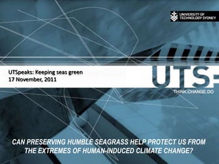 UTSpeaks: Keeping seas green
17 November, 2011




 CAN PRESERVING HUMBLE SEAGRASS HELP PROTECT US FROM
    THE EXTREMES OF HUMAN-INDUCED CLIMATE CHANGE?
 