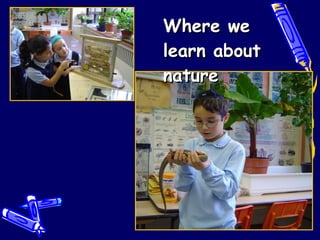 Where we learn about nature 