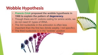 Genetic code | PPTX | Programming Languages | Computing