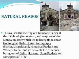 NATURAL REASON
 This caused the melting of Chorabari Glacier at
the height of 3800 meters , and eruption of the
Mandakini river which led to heavy floods near
Gobindghat, KedarDome, Rudraprayag
district, Uttarakhand, Himachal Pradesh and
Western Nepal ,and acute rainfall in other near
by regions of Delhi, Haryana, Uttar-Pradesh and
some parts of Tibet.
 