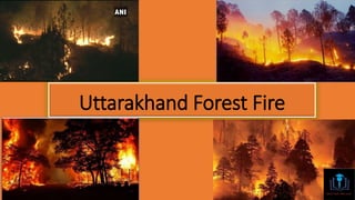 Uttarakhand Forest Fire
 