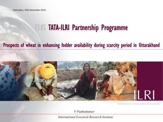 Models for dairy-based livelihood improvement in Uttrakhand, India: Lessons from ILRI 