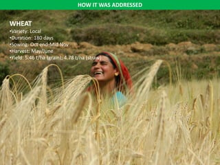 Models for dairy-based livelihood improvement in Uttrakhand, India: Lessons from ILRI 