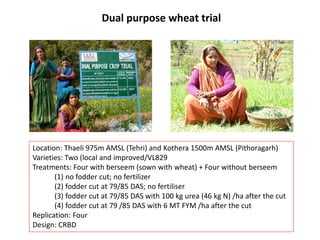 Models for dairy-based livelihood improvement in Uttrakhand, India: Lessons from ILRI 