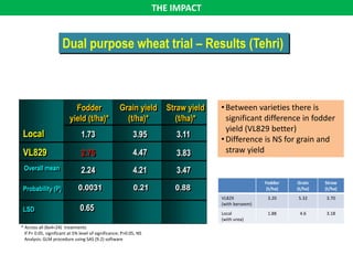 Models for dairy-based livelihood improvement in Uttrakhand, India: Lessons from ILRI 