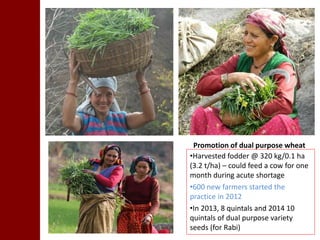 Models for dairy-based livelihood improvement in Uttrakhand, India: Lessons from ILRI 