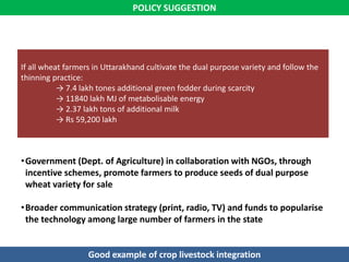 Models for dairy-based livelihood improvement in Uttrakhand, India: Lessons from ILRI 