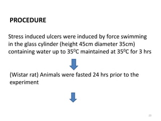 PROCEDURE
Stress induced ulcers were induced by force swimming
in the glass cylinder (height 45cm diameter 35cm)
containing water up to 350C maintained at 350C for 3 hrs
(Wistar rat) Animals were fasted 24 hrs prior to the
experiment
23
 