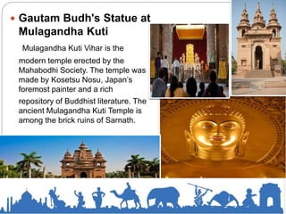  Gautam Budh's Statue at
Mulagandha Kuti
Mulagandha Kuti Vihar is the
modern temple erected by the
Mahabodhi Society. The temple was
made by Kosetsu Nosu, Japan’s
foremost painter and a rich
repository of Buddhist literature. The
ancient Mulagandha Kuti Temple is
among the brick ruins of Sarnath.
 