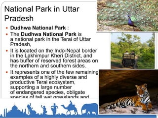 National Park in Uttar
Pradesh
 Dudhwa National Park :
 The Dudhwa National Park is
a national park in the Terai of Uttar
Pradesh,
 It is located on the Indo-Nepal border
in the Lakhimpur Kheri District, and
has buffer of reserved forest areas on
the northern and southern sides.
 It represents one of the few remaining
examples of a highly diverse and
productive Terai ecosystem,
supporting a large number
of endangered species, obligate
species of tall wet grasslands and
species of restricted distribution.
 