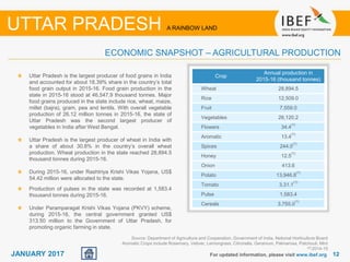 1212JANUARY 2017
Source: Department of Agriculture and Cooperation, Government of India, National Horticulture Board
Aromatic Crops include Rosemary, Vetiver, Lemongrass, Citronella, Geranium, Palmarosa, Patchouli, Mint
(1) 2014-15
Crop
Annual production in
2015-16 (thousand tonnes)
Wheat 28,894.5
Rice 12,509.0
Fruit 7,559.0
Vegetables 26,120.2
Flowers 34.4
(1)
Aromatic 13.4
(1)
Spices 244.0
(1)
Honey 12.5
(1)
Onion 413.6
Potato 13,946.8
(1)
Tomato 3,31.1
(1)
Pulse 1,583.4
Cereals 3,755.0
(1)
Uttar Pradesh is the largest producer of food grains in India
and accounted for about 18.39% share in the country’s total
food grain output in 2015-16. Food grain production in the
state in 2015-16 stood at 46,547.9 thousand tonnes. Major
food grains produced in the state include rice, wheat, maize,
millet (bajra), gram, pea and lentils. With overall vegetable
production of 26.12 million tonnes in 2015-16, the state of
Uttar Pradesh was the second largest producer of
vegetables in India after West Bengal.
Uttar Pradesh is the largest producer of wheat in India with
a share of about 30.8% in the country’s overall wheat
production. Wheat production in the state reached 28,894.5
thousand tonnes during 2015-16.
During 2015-16, under Rashtriya Krishi Vikas Yojana, US$
54.42 million were allocated to the state.
Production of pulses in the state was recorded at 1,583.4
thousand tonnes during 2015-16.
Under Paramparagat Krishi Vikas Yojana (PKVY) scheme,
during 2015-16, the central government granted US$
313.50 million to the Government of Uttar Pradesh, for
promoting organic farming in state.
For updated information, please visit www.ibef.org
ECONOMIC SNAPSHOT – AGRICULTURAL PRODUCTION
UTTAR PRADESH A RAINBOW LAND
 
