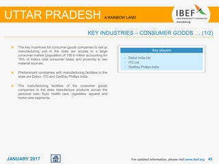 4343JANUARY 2017
The key incentives for consumer goods companies to set up
manufacturing unit in the state are access to a large
consumer market (population of 199.8 million accounting for
16% of India’s total consumer base) and proximity to raw
material sources.
Predominant companies with manufacturing facilities in the
state are Dabur, ITC and Godfrey Phillips India.
The manufacturing facilities of the consumer goods
companies in the state manufacture products across the
personal care, food, health care, cigarettes, apparel and
home care segments.
For updated information, please visit www.ibef.org
KEY INDUSTRIES – CONSUMER GOODS … (1/2)
UTTAR PRADESH A RAINBOW LAND
Key players
• Dabur India Ltd
• ITC Ltd
• Godfrey Phillips India
 
