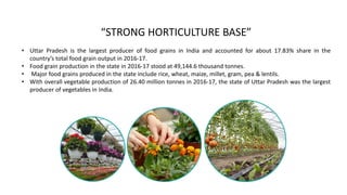 “STRONG HORTICULTURE BASE”
• Uttar Pradesh is the largest producer of food grains in India and accounted for about 17.83% share in the
country’s total food grain output in 2016-17.
• Food grain production in the state in 2016-17 stood at 49,144.6 thousand tonnes.
• Major food grains produced in the state include rice, wheat, maize, millet, gram, pea & lentils.
• With overall vegetable production of 26.40 million tonnes in 2016-17, the state of Uttar Pradesh was the largest
producer of vegetables in India.
 