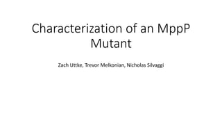 Characterization of an MppP
Mutant
Zach Uttke, Trevor Melkonian, Nicholas Silvaggi
 