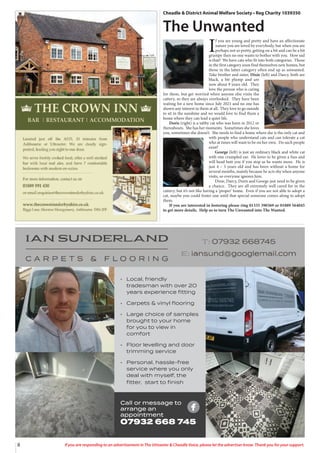 8 If you are responding to an advertisement in The Uttoxeter & Cheadle Voice, please let the advertiser know. Thank you for your support.
• Local, friendly
tradesman with over 20
years experience fitting
• Carpets & vinyl flooring
• Large choice of samples
brought to your home
for you to view in
comfort
• Floor levelling and door
trimming service
• Personal, hassle-free
service where you only
deal with myself, the
fitter, start to finish
Call or message to
arrange an
appointment
07932 668 745
Cheadle & District Animal Welfare Society • Reg Charity 1039350
The Unwanted
I
f you are young and pretty and have an affectionate
nature you are loved by everybody, but when you are
perhaps not so pretty, getting on a bit and can be a bit
grumpy then no one wants to bother with you. How sad
is that? We have cats who fit into both categories. Those
in the first category soon find themselves new homes, but
those in the latter category often end up as unwanted.
Take brother and sister, Dixie (left) and Darcy, both are
black, a bit plump and are
now about 9 years old. They
love the person who is caring
for them, but get worried when anyone else visits the
cattery, so they are always overlooked. They have been
waiting for a new home since July 2021 and no one has
shown any interest in them at all. They love to go outside
to sit in the sunshine and we would love to find them a
home where they can lead a quiet life.
Doris (right) is a tabby cat who was born in 2012 or
thereabouts. She has her moments. Sometimes she loves
you, sometimes she doesn’t. She needs to find a home where she is the only cat and
with people who understand cats and can tolerate a cat
who at times will want to be on her own. Do such people
exist?
George (left) is just an ordinary black and white cat
with one crumpled ear. He loves to be given a fuss and
will head butt you if you stop as he wants more. He is
just 4 – 5 years old and has been without a home for
several months, mainly because he acts shy when anyone
visits, so everyone ignores him.
Dixie, Darcy, Doris and George just need to be given
a chance. They are all extremely well cared for in the
cattery, but it’s not like having a ‘proper’ home. Even if you are not able to adopt a
cat, maybe you could foster one until that special someone comes along to adopt
them.
If you are interested in fostering please ring 01335 390369 or 01889 564045
to get more details. Help us to turn The Unwanted into The Wanted.
 