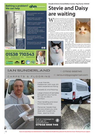 16 If you are responding to an advertisement in The Uttoxeter & Cheadle Voice, please let the advertiser know. Thank you for your support.
• Local, friendly
tradesman with over 20
years experience ﬁtting
• Carpets & vinyl ﬂooring
• Large choice of samples
brought to your home
for you to view in
comfort
• Floor levelling and door
trimming service
• Personal, hassle-free
service where you only
deal with myself, the
ﬁtter, start to ﬁnish
Call or message to
arrange an
appointment
07932 668 745
Cheadle & District Animal Welfare Society • Reg Charity 1039350
Stevie and Daisy
are waiting
W
hen Stevie arrived in our care in August
2022 it was assumed that he would soon
find a home. He was young, playful and
a really handsome long haired ginger and white cat.
However he is still with us. He almost found a
home in January 2023, but was pipped at the post
by another cat, then he was offered a home which,
sadly was not the right one for Stevie, so he’s still
waiting for that special someone to offer him his
forever home.
Stevie is a lively cat who was born in March
2022 approx. His new home needs to one which is
away from busy traffic and where there are lots of
wide open spaces for him to explore. He will need
to be groomed daily to help him keep his gorgeous
fluffy coat in
order. He is such
a lovely boy,
although he’s not keen on other cats, so he needs to
find a home where he is the only pet. It’s a great
shame that he is having to spend so much time in
the cattery.
Daisy is another cat who is constantly
overlooked and we can’t understand why. She is
black and white and was born in 2020 so she has
all of her life in front of her. She prefers to be the
only cat in the household as she loves attention and
wants it all for herself. She’s not prepared to share.
It is sad that no one seems to want Daisy.
If you would like to come to visit Stevie or
Daisy to see if they would fit in with your family
please ring 01335 390369 or 01889 564045 .
 