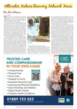 30 If you are responding to an advertisement in The Uttoxeter & Cheadle Voice, please let the advertiser know. Thank you for your support.
01889 723 023
T
he last time I was writing about my bee-keeping
exploits in the Voice I told you about all the
problems we were having with losing our
queens, and how we decided to call in the experts to
see if they could help us to save the hive.
Here is where I must say a big “thank you” to our
friends in both North and South Staffs Beekeeping
associations who came to cast their expert eyes over
our hive after our queen deserted the hive with half the
worker bees. But more trouble was ahead! We
discovered we only had a few larva left inside the hive,
as no queen means no eggs, leading to fewer adult
worker bees to work for the hive. Workers will then
start laying male drone eggs and our hive was full of
drones. Drones are the archetypal male animal – their
mission in life is to breed and nothing else, leaving all
the work to the remaining female worker bees.
The more experienced eye of a seasoned beekeeper
noticed an abnormality in one of our precious worker
larvae. This meant it was time to call in the bee
inspector. Although a rather scary prospect to start
with everyone was so friendly, reassuring, and helpful
I must extend another heartfelt “thank you” to the bee
inspection team. I am pleased to say there was nothing
to worry about in the end but it was confirmed we still
did not have a queen. The hive was so depleted by this
time that the bees would not be able to raise their own
queen. However, with the help of the association we
were able to source a queen from a breeder and have
her posted to us! My husband took possession of her
from the postman and we were advised to keep her in
a dark cupboard until I came home from work and we
could introduce her to her new queendom.
We had put the colony back in the smaller nucleus
hive for the introduction and although it was nerve-
racking whether or not the bees would accept the new
queen, it turned out to be a joy to see. The queen bee
came in what is known as a “butler cage” with 5-6
attendants (the butlers!) to look after her on her
journey through the postal system. When it arrives this
cage is placed in the hive and enables the hive bees to
get used to her without having direct contact. The
question was: “would the hive accept the attendants as
well as the queen?” It turned out they did. It was great
to see the colony waving their abdomens in the air in
welcome and relief to have a new queen.
She is a good queen and since she arrived the hive
has been calm, quiet and nice to handle. But most
importantly she has been laying lovely pearly white
larva to boost colony numbers. We kept them in the
“nuc” over winter so they could stay warm and fed
them sugar syrup so they would lay down lots of stores
of honey to see them through the year. So far so good.
During the winter all the bees have had to do is rest
until spring comes, but it was a busy time for me,
making up frames and assembling a new hive. So now
we are ready: if this queen gets the urge to swarm there
is a second hive, so we don’t risk losing our hive again.
There is a tradition among bee keepers of “telling it
to the bees,” when something important happens in the
life of the beekeeper. You take the key to your house
and knock on the hive until you think the bees are
“listening” and whisper your message to them. When
Queen Elizabeth died her beekeeper told them that “the
Mistress has gone, but not to worry as the Master
would be good to them,” I don’t know whether it makes
a difference but it is a tradition that I like to keep alive.
As I was born in New Zealand I felt I should tell the
bees of the death of the Māori King, which happened
at the end of last summer. The belief is that the bees can
help the deceased in their journey to the afterlife.
Uttoxeter Nature Recovery Network News
Bee Hive Rescue
By Kate Hollins
A beekeeper
 