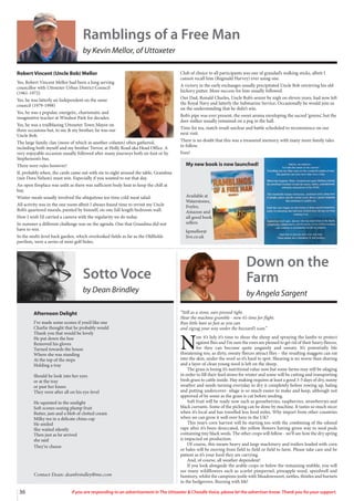 36 If you are responding to an advertisement in The Uttoxeter & Cheadle Voice, please let the advertiser know. Thank you for your support.
Ramblings of a Free Man
by Kevin Mellor, of Uttoxeter
Robert Vincent (Uncle Bob) Mellor
Yes, Robert Vincent Mellor had been a long serving
councillor with Uttoxeter Urban District Council
(1961-1972)
Yes, he was latterly an Independent on the same
council (1979-1998)
Yes, he was a popular, energetic, charismatic and
imaginative teacher at Windsor Park for decades.
Yes, he was a trailblazing Uttoxeter Town Mayor on
three occasions but, to me & my brother, he was our
Uncle Bob.
The large family clan (more of which in another column) often gathered,
including both myself and my brother Trevor, at Holly Road aka Head Office. A
very enjoyable occasion usually followed after many journeys both on foot or by
Stephenson’s bus.
There were rules however!
If, probably when, the cards came out with six to eight around the table, Grandma
(nee Dora Nelson) must win. Especially if you wanted to eat that day.
An open fireplace was unlit as there was sufficient body heat to keep the chill at
bay.
Winter meals usually involved the ubiquitous tea-time cold meat salad.
All activity was in the one room albeit I always found time to revisit my Uncle
Bob’s quartered murals, painted by himself, on one full length bedroom wall.
How I wish I’d carried a camera with the regularity we do today.
In summer a different challenge was on the agenda. One that Grandma did not
have to win.
In the multi-level back garden, which overlooked fields as far as the Oldfields
pavilion, were a series of mini golf holes.
Club of choice to all participants was one of grandad’s walking sticks, albeit I
cannot recall him (Reginald Harvey) ever using one.
A victory in the early exchanges usually precipitated Uncle Bob retrieving his old
hickory putter. More success for him usually followed.
Our Dad, Ronald Charles, Uncle Bob’s senior by nigh on eleven years, had now left
the Royal Navy and latterly the Submarine Service. Occasionally he would join us
on the understanding that he didn’t win.
Bob’s pipe was ever present, the sweet aroma enveloping the sacred ‘greens’, but the
deer stalker usually remained on a peg in the hall.
Time for tea, match result unclear and battle scheduled to recommence on our
next visit.
There is no doubt that this was a treasured memory, with many more family tales
to follow.
Fore!
My new book is now launched!
Available at
Waterstones,
Foyles,
Amazon and
all good book
sellers
kpmellor@
live.co.uk
Afternoon Delight
I’ve made some scones if you’d like one
Charlie thought that he probably would
Thank you that would be lovely
He put down the hoe
Removed his gloves
Turned towards the house
Where she was standing
At the top of the steps
Holding a tray
Should he look into her eyes
or at the tray
or past her knees
They were after all on his eye-level
He squinted in the sunlight
Soft scones oozing plump fruit
Butter, jam and a blob of clotted cream
Milky tea in a delicate china cup
He smiled
She waited silently
Then just as he arrived
she said
They’re cheese
Sotto Voce
by Dean Brindley
Contact Dean: deanbrindley@me.com
Down on the
Farm
by Angela Sargent
“Still as a stone, ears pressed tight.
Hear the machine grumble - now it’s time for flight.
Run little hare as fast as you can
and zigzag your way under the buzzard’s scan.”
N
ow it’s July it’s time to shear the sheep and spraying the lambs to protect
against flies and I’m sure the ewes are pleased to get rid of their heavy fleeces,
for they can become quite ungainly and sweaty. It’s potentially life
threatening too, as dirty, sweaty fleeces attract flies – the resulting maggots can eat
into the skin, under the wool so it’s hard to spot. Shearing is no worse than shaving
and a layer of clean young wool is left on the sheep.
The grass is losing it’s nutritional value now but some farms may still be silaging
in order to fill their feed stores for winter and some will be cutting and transporting
fresh grass to cattle inside. Hay making requires at least a good 3-5 days of dry, sunny
weather and needs turning everyday to dry it completely before rowing up, baling
and putting undercover- silage is so much easier to make and keep, although not
approved of by some as the grass is cut before seeding.
Soft fruit will be ready now such as gooseberries, raspberries, strawberries and
black currants. Some of the picking can be done by machine. It tastes so much nicer
when it’s local and has travelled less food miles. Why import from other countries
when we can grow it well over here in the UK?
This year’s corn harvest will be starting too with the combining of the oilseed
rape after it’s been desiccated, the yellow flowers having given way to seed pods
containing tiny black seeds. The other crops will follow - we’ll see how the dry spring
is impacted on production.
Of course, this means heavy and large machinery and trailers loaded with corn
or bales will be moving from field to field or field to farm. Please take care and be
patient as it’s your food they are carrying.
And, of course, all weather dependent!
If you look alongside the arable crops or below the remaining stubble, you will
see many wildflowers such as scarlet pimpernel, pineapple weed, speedwell and
fumitory, whilst the campions jostle with Meadowsweet, nettles, thistles and burnets
in the hedgerows. Buzzing with life!
 
