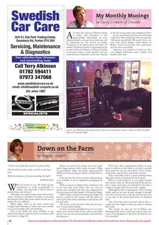 28 If you are responding to an advertisement in The Uttoxeter & Cheadle Voice, please let the advertiser know. Thank you for your support.
Swedish
Car Care
Unit G1 City Park Trading Estate,
Dewsbury Rd, Fenton ST4 2HS
Servicing, Maintenance
& Diagnostics
Call Terry Atkinson
01782 594411
07973 347068
www.swedishcarcare.co.uk
email: info@swedish-carparts.co.uk
Est. since 1983
SPECIALISTS
Free collection from Uttoxeter
and surrounding areas
My Monthly Musings
by Cecily Cowans of Cheadle
A
s I write, the season of Advent is about
to begin and Christmas is fast
approaching. Depending on your
religious beliefs, you and your loved ones will
be preparing for the arrival of Father
Christmas or the Infant Jesus. Or both. Or
neither. The Royal Family is preparing for the
arrival of the next Prince or Princess. Unlike
in previous times, a baby brother will not
usurp Princess Charlotte as the law relating
to the line of succession was changed in 2013.
In my own family we have just welcomed
a baby boy who would have been my parents’
14th great grandchild. We nearly have our
very own mixed Rugby team! Based on
Wales’ recent record, this next generation
may be more successful!
However you celebrate, I wish you all a
very Happy Christmas and a happy and
healthy New Year.
Down on the Farm
by Angela Sargent
“If there are birds they must be waiting below
The threshold of the winds, and the rooks have
gone
With the darkness of leaves unveiling the light.”
Kathleen Nott
W
hen it’s snowy or icy, the yards can get
treacherous to walk on,especially in
wellies and especially if there’s been a
partial thaw and refreeze!
Although everywhere looks clean and pristine
when covered in a blanket of snow, it soon gets
discoloured and if the tractor diesel freezes too, it
makes life very difficult.
Water pipes- often in the open- freeze and
troughs need thawing, to make sure every animal
can access enough water for drinking.
Out in the fields, the main problem is not
always knowing if a pipe has burst (or where) until
you notice a boggy bit.
Sheep can survive by eating snow but cattle
need a huge amount- dairy cattle consume 100kg
of grass/fodder daily and drink approximately
60litres of water, giving us 30litres of milk daily in
return.
Over the last few years, we have planted quite
a bit of Holly as we’ve replanted and gapped up
hedges.
Holly can grow in slightly drier conditions and
so we have put some where they are close to
mature tree canopies, but they are comparatively
slow growing and take longer to fill up the hedge.
Older bushes should be bearing the bright red
berries, carried by the female, and the birds are
attracted to the colour and help to spread the seed
far and wide.
The leaves can be carried on the tree for up to
4 or 5 years before falling.
As there are fewer daylight hours, we are more
often aware of the Owls as they call to each other
and we see more nocturnal animals, such as Stoats,
hunting prey.
Owls leave their regurgitated pellets on gate
posts or wherever they like to sit and if we pull
them apart we can see what they’ve been eating-
small bones and feathers and beetle remains.
Ted is now three and is a good working sheep
dog, often better working away from home.
When in work mode, he is very single minded
and cannot often be distracted and he has grown
into a large sleek dog, even though he has had a
couple of rough times since he was a puppy.
Although he likes to spend part of his evening
inside with us, he soon decides enough is enough
and asks to be let out to curl up in his kennel or in
a cosy spot in the sheep shed when it’s lambing
time.
Our calves have been weaned and we have a
couple of noisy nights as they get used to missing
their milk.
This winter we may get rid of Dallas, our
limousine bull, as he is nine now and we have too
many of his daughters in the herd, but that has yet
to be decided!
Everyone
lovesTheVoice
Ozzie, our fabulous Christmas Pony, is pictured outside his owner’s salon at Ruby Ysabelle
Hair at Denstone Hall.
 