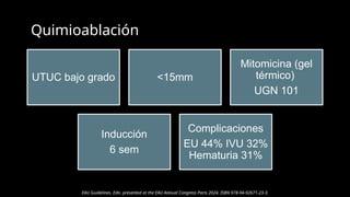 Utuc Ribbon Carcinoma Urotelial de Tracto Urinario Superior UTUC.pptx