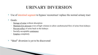 Utuc Presentation UTUC & MUSCLE INVASIVE BLADDER CA POWERPOINT PRESENTATION | PPTX