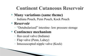 Utuc Presentation UTUC & MUSCLE INVASIVE BLADDER CA POWERPOINT PRESENTATION | PPTX