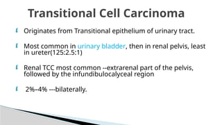 Utuc Presentation UTUC & MUSCLE INVASIVE BLADDER CA POWERPOINT PRESENTATION | PPTX