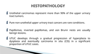 Utuc Presentation UTUC & MUSCLE INVASIVE BLADDER CA POWERPOINT PRESENTATION | PPTX