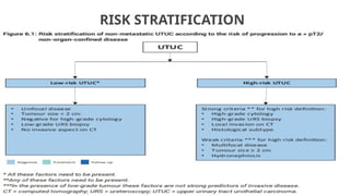 Utuc Presentation UTUC & MUSCLE INVASIVE BLADDER CA POWERPOINT PRESENTATION | PPTX