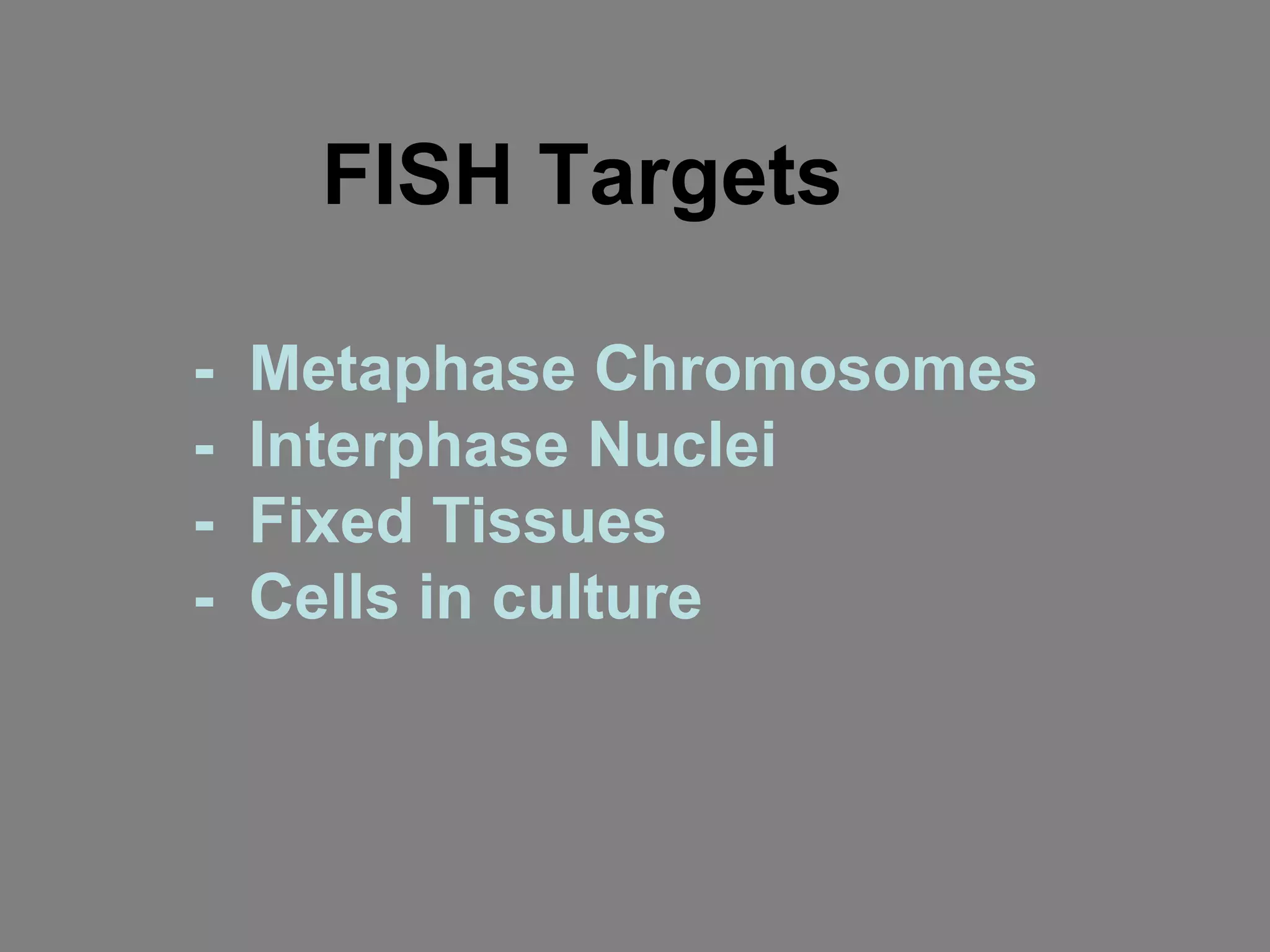FISH Targets
- Metaphase Chromosomes
- Interphase Nuclei
- Fixed Tissues
- Cells in culture
 