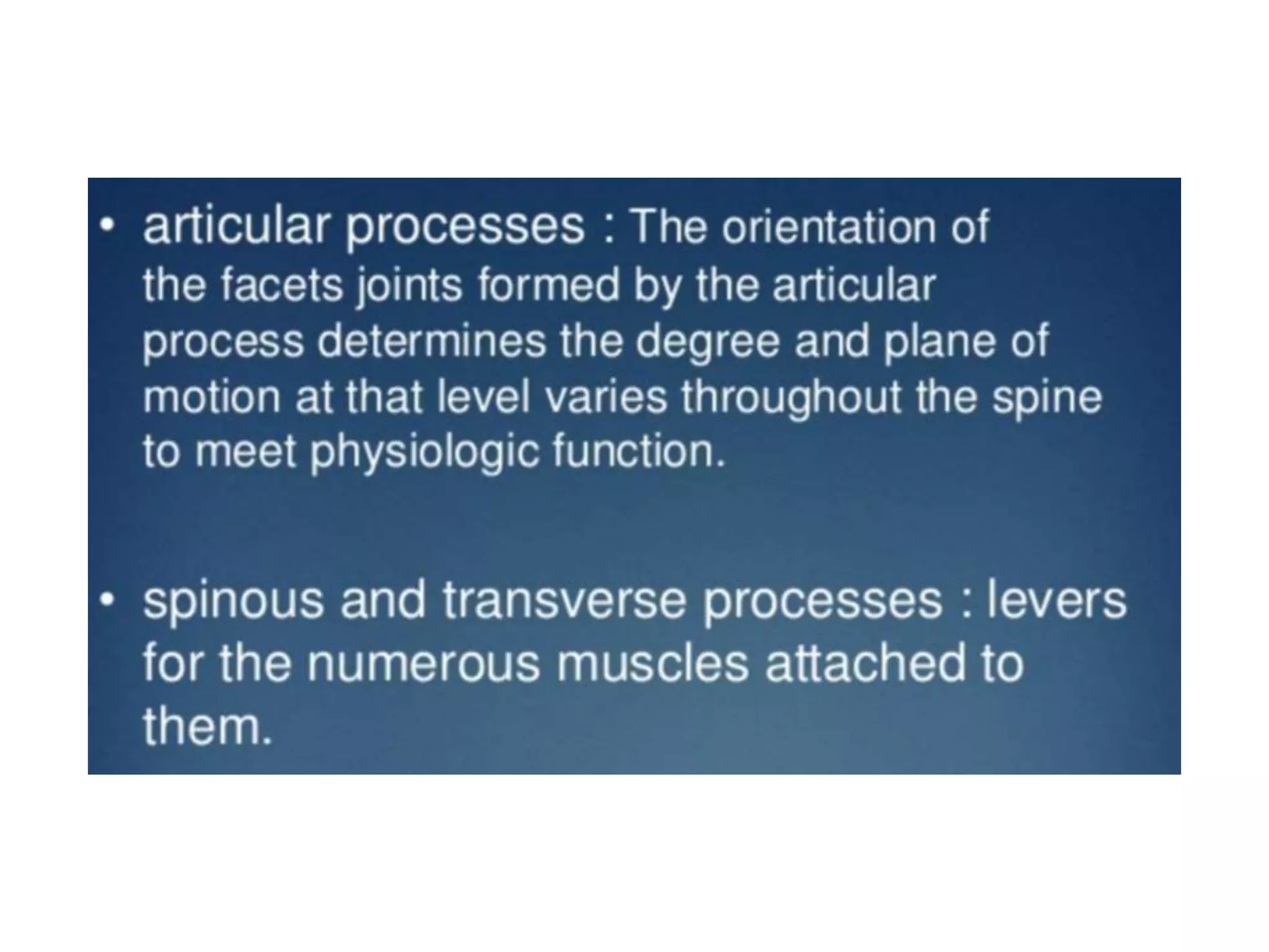Lumbar intervertebral disc anatomy, biomechanics and pathogenesis of ...