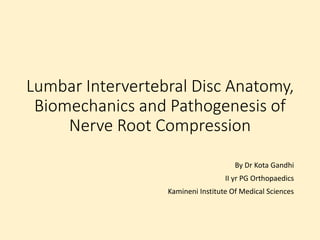 Lumbar Intervertebral Disc Anatomy,
Biomechanics and Pathogenesis of
Nerve Root Compression
By Dr Kota Gandhi
II yr PG Orthopaedics
Kamineni Institute Of Medical Sciences
 