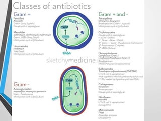 Antibiotics In Surgery | PPTX