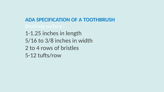 ADA SPECIFICATION OF A TOOTHBRUSH
Brushing surface :
1-1.25 inches in length
5/16 to 3/8 inches in width
2 to 4 rows of bristles
5-12 tufts/row
 