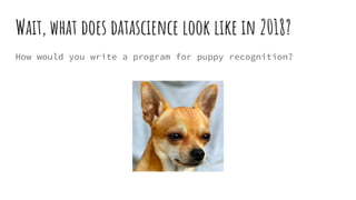 Wait, what does datascience look like in 2018?
How would you write a program for puppy recognition?
 