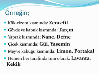 Örneğin; 
 Kök-rizom kısmında: Zencefil 
 Gövde ve kabuk kısmında: Tarçın 
 Yaprak kısmında: Nane, Defne 
 Çiçek kısmında: Gül, Yasemin 
 Meyve kabuğu kısmında: Limon, Portakal 
 Hemen her tarafında tüm olarak: Lavanta, 
Kekik 
 