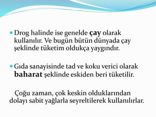  Drog halinde ise genelde çay olarak 
kullanılır. Ve bugün bütün dünyada çay 
şeklinde tüketim oldukça yaygındır. 
 Gıda sanayisinde tad ve koku verici olarak 
baharat şeklinde eskiden beri tüketilir. 
Çoğu zaman, çok keskin olduklarından 
dolayı sabit yağlarla seyreltilerek kullanılırlar. 
 