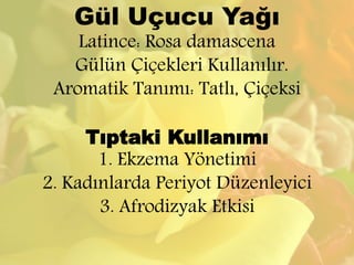 Gül Uçucu Yağı 
Latince: Rosa damascena 
Gülün Çiçekleri Kullanılır. 
Aromatik Tanımı: Tatlı, Çiçeksi 
Tıptaki Kullanımı 
1. Ekzema Yönetimi 
2. Kadınlarda Periyot Düzenleyici 
3. Afrodizyak Etkisi 
 