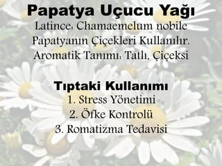 Papatya Uçucu Yağı 
Latince: Chamaemelum nobile 
Papatyanın Çiçekleri Kullanılır. 
Aromatik Tanımı: Tatlı, Çiçeksi 
Tıptaki Kullanımı 
1. Stress Yönetimi 
2. Öfke Kontrolü 
3. Romatizma Tedavisi 
 