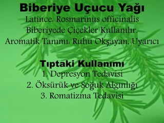 Biberiye Uçucu Yağı 
Latince: Rosmarinus officinalis 
Biberiyede Çiçekler Kullanılır. 
Aromatik Tanımı: Ruhu Okşayan, Uyarıcı 
Tıptaki Kullanımı 
1. Depresyon Tedavisi 
2. Öksürük ve Soğuk Algınlığı 
3. Romatizma Tedavisi 
 