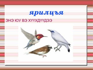 ярилцъя ЭНЭ ЮУ ВЭ ХҮҮХДҮҮДЭЭ 