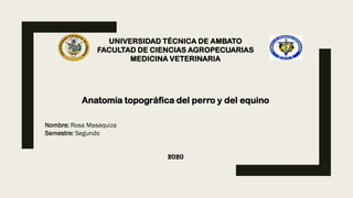 UNIVERSIDAD TÉCNICA DE AMBATO
FACULTAD DE CIENCIAS AGROPECUARIAS
MEDICINA VETERINARIA
Anatomía topográfica del perro y del equino
Nombre: Rosa Masaquiza
Semestre: Segundo
2020
 