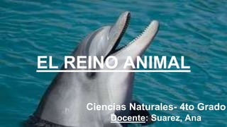 EL REINO ANIMAL
Ciencias Naturales- 4to Grado
Docente: Suarez, Ana
 