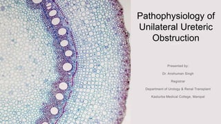 Pathophysiology of
Unilateral Ureteric
Obstruction
 