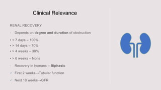 Clinical Relevance




 
