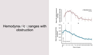 Hemodynamic changes with
obstruction
 