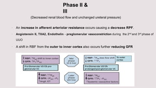 Phase II &
III
 An increase in afferent arteriolar resistance occurs causing a decrease RPF.
 Angiotensin II, TXA2, Endothelin - preglomerular vasoconstriction during the 2nd and 3rd phase of
UUO
 A shift in RBF from the outer to inner cortex also occurs further reducing GFR
(Decreased renal blood flow and unchanged ureteral pressure)
 