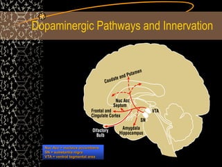 Dopaminergic Pathways and Innervation
Nuc Acc = nucleus accumbens
SN = substantia nigra
VTA = ventral tegmental area
 